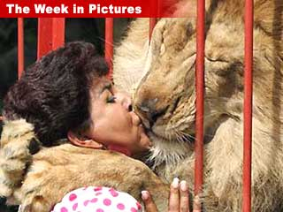 010506_lion_kiss