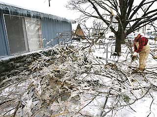 012007_snow_limbs1