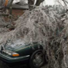 011406_ice_storm_2