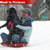 012007_snow_dog