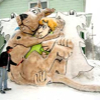 021307_snow_sculpture