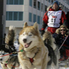 030407_iditarod2