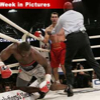 031007_boxing1