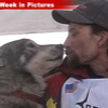 031607_weekinpics_iditarod