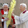 040107_pope_palm_sunday