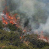 051107_catalinafireaerial