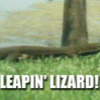 052907_LIZARD