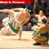 060807_sumo_tourney