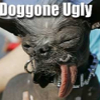 062207_ugly_dog_text