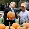 101906_bush_pumpkin