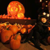 102906_largest_pumpkin