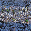 122906_hajj_2