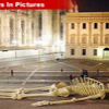 NIP_032907_skeleton_sculptu