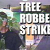 tree_robber_type